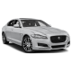 XF